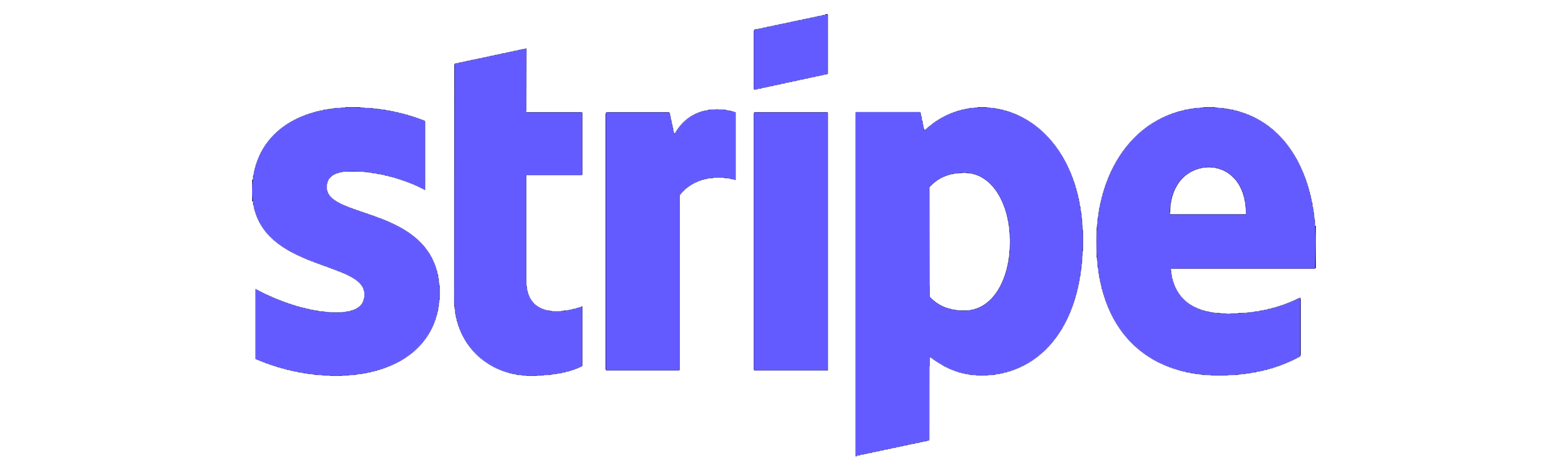 Stripe online payment processing platform